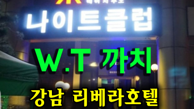 강남h2o 기억에 남는 추억의 밤을 만들어 드리겠습니다.