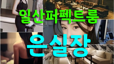 일산퍼펙트 보고 싶어 운다 그리워서 운다