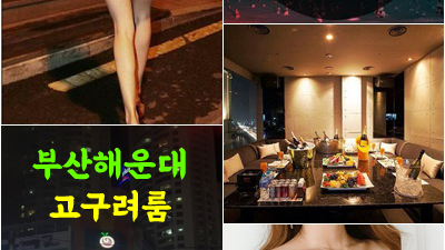 해운대고구려 2차가격 해운대고구려룸살롱 아모르 파티 아모르 파티