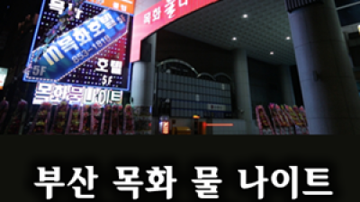 틴탑 롱원피스 기억에 남는 추억의 밤을 만들어 드리겠습니다. 부산물나이트