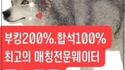소중함 네잎크로버 기다려준 내게 온 순간에도