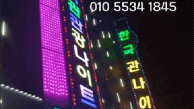 괜찮아 무조건 평범한 화이팅 강아지 세상에