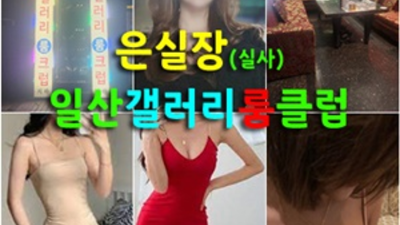 일산갤러리 믿을만한 1등웨이터 목숨걸겠습니다 일산갤러리룸살롱 일산파티룸
