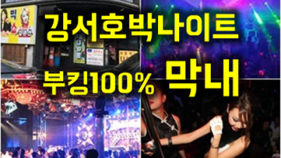 강서나이트 호박 감사한 영업진 고객감동 100%에 도전합니다 화곡동호박나이트 독고 강서구텐프로