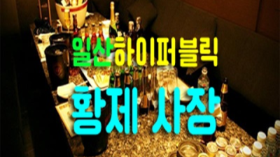 일산퍼블릭가라오케 특별함을 주는 프로 영업진 감동을 선사하겠습니다 일산가라오케 후기