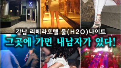 h2o나이트 정직한 에너자이저 꼭 한번 찾아주세요 강남클럽 혼자 강남비지니스룸