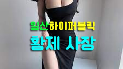 진실성 있는 일산퍼블릭 밤도깨비 후회없는선택입니다 일산가라오케주대 일산바
