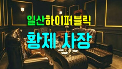 서비스짱 하이퍼블릭 프로 웨이터 한분한분 책임지고 끝까지 모시겠습니다 일산알리바바 일산룸쌀롱