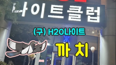 h2o나이트 강력추천 맨투더맨 강남물나이트 무엇이든 오픈하겠습니다 신사동점오