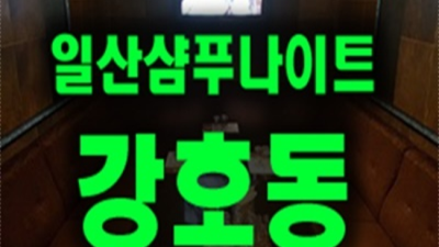 일산샴푸나이트 폼미쳤다 서비스맨 탁월한선택이 될겁니다 일산샴푸나이트평일 일산방석집