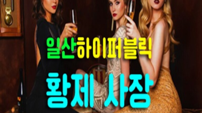 일산퍼블릭 끝까지 책임지는 Waiter 최선을 다하겠습니다 일산퍼블릭 오늘밤어디가