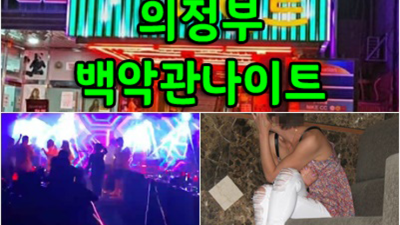 의정부백악관나이트 인간성좋은 밤도깨비 최선을다하겠습니다 의정부한국관 의정부텐프로