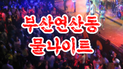 부산물나이트 거짓없는 맨투더맨 인연을 소중하게 생각하겠습니다 부산물나이트 정리 오늘밤어디가