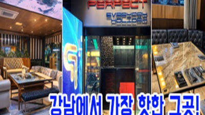 강남퍼펙트하이퍼블릭 센스쟁이 프로서비스맨 확실합니다 엘리에나호텔하이퍼블릭 논현동정통비지니스룸