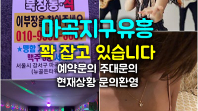 마곡셔츠룸 편안함을주는 밤도깨비 후회없을겁니다 마곡지구하이퍼블릭 마곡지구룸사롱