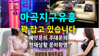 마곡셔츠룸 확실한 밤대통령 고객감동 100%에 도전합니다 마곡지구발리룸 발산역라운지