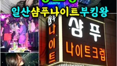 일산샴푸나이트 만족감을 주는 에너자이저 탁월한선택이 될겁니다 일산샴푸나이트영업 일산텐프로