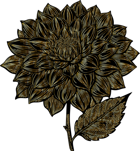 e5d6df05ce7e9d48c84dd482f2f52eee_1720194697_7993.png